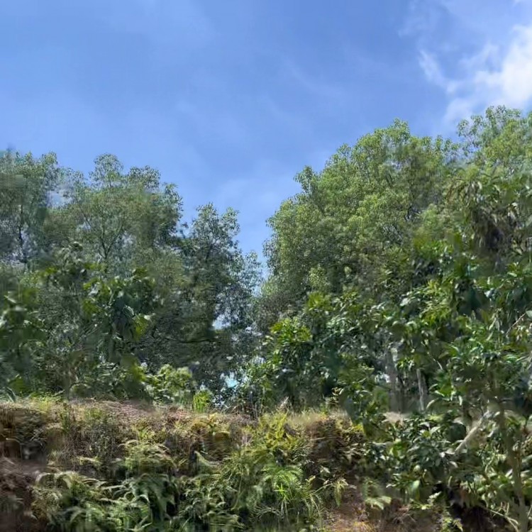 今天去大自然會所做spa有朋友要一起嗎#周邊游