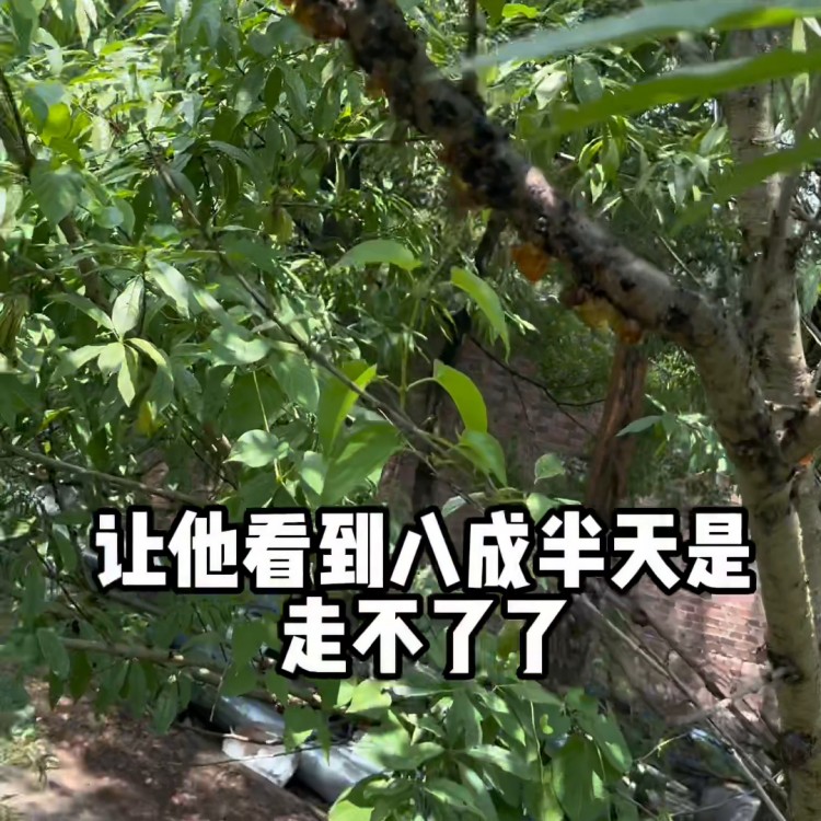 今天去大自然會所做spa有朋友要一起嗎#周邊游