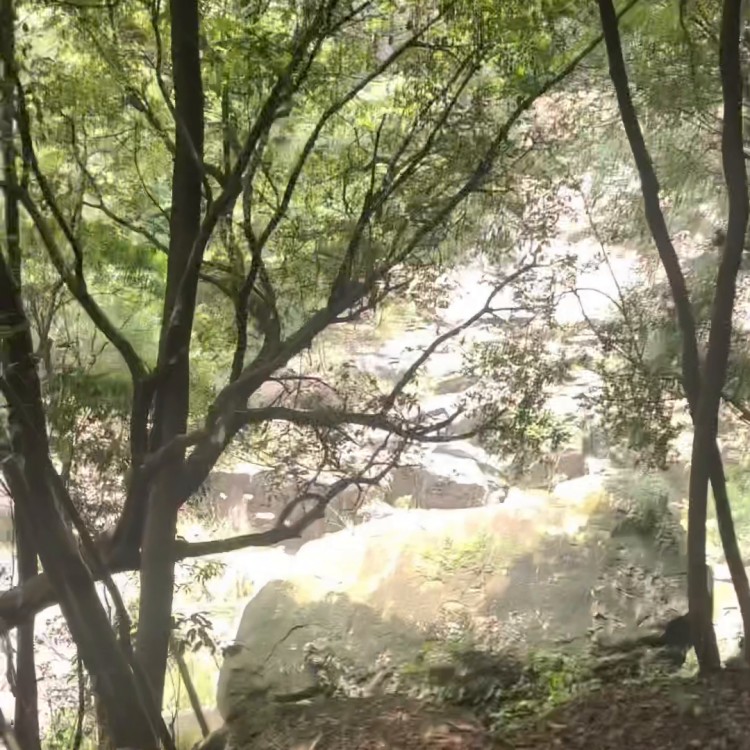 今天去大自然會所做spa有朋友要一起嗎#周邊游